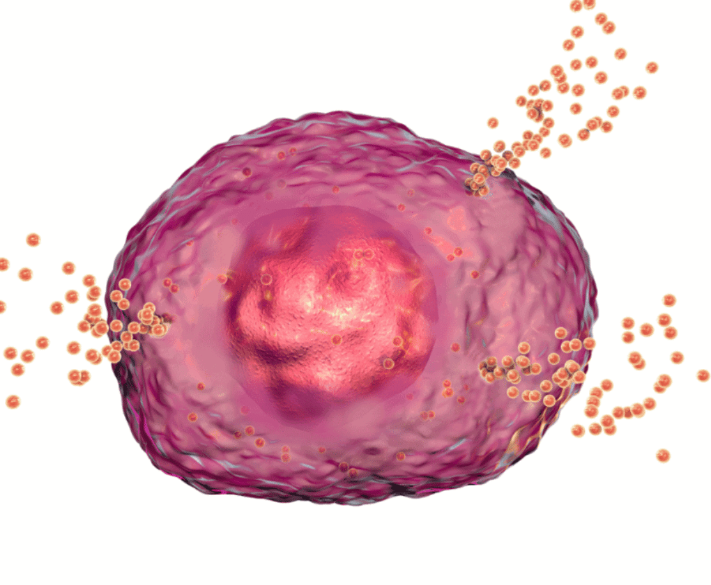 Histaminová intolerance - co nejíst, co jíst a jak ji léčit?
