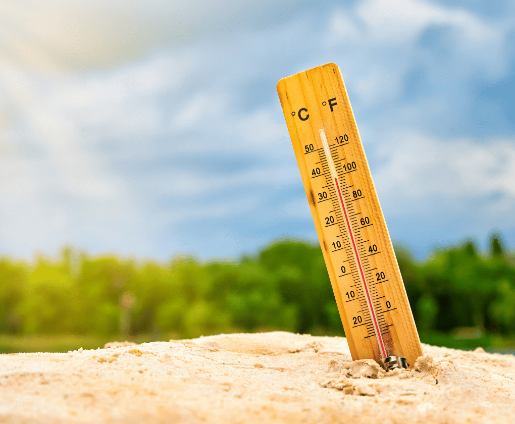 Vliv teploty na střevní mikrobiom