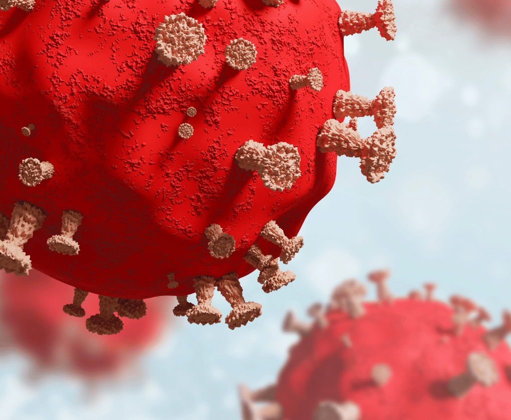 Vliv střevního mikrobiomu na průběh onemocnění COVID-19