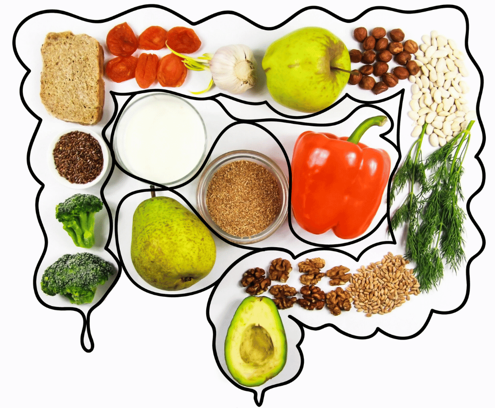 Klíčem k dlouhému životu je zdravý mikrobiom