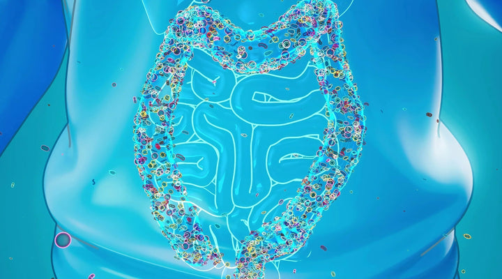 Rakovina tlustého střeva: Jakou roli hraje střevní mikrobiom a bakterie E. coli?