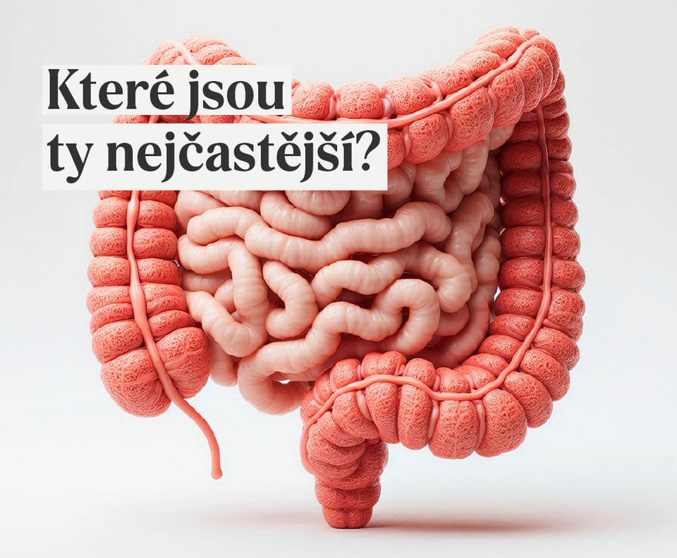 Infografika 7 příznaků nemocných střev – vizuální přehled symptomů střevní nerovnováhy