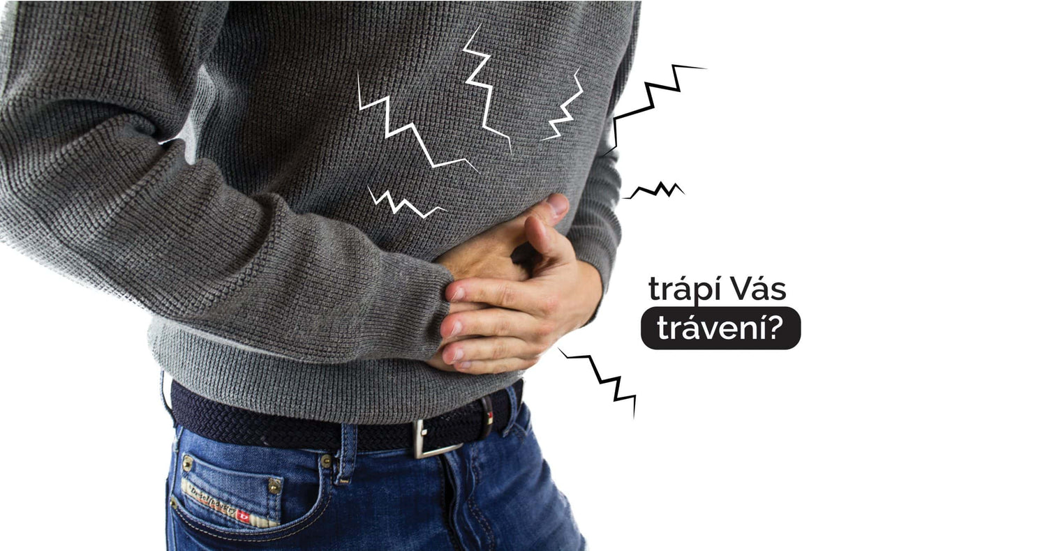 Bolesti břicha – ulcerózní kolitida a Crohnovy choroba – postižené úseky trávicího traktu
