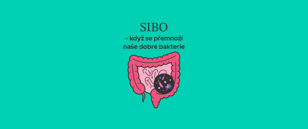 SIBO - když se přemnoží naše dobré bakterie