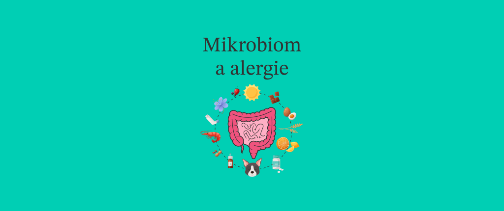 Mikrobiom a alergie