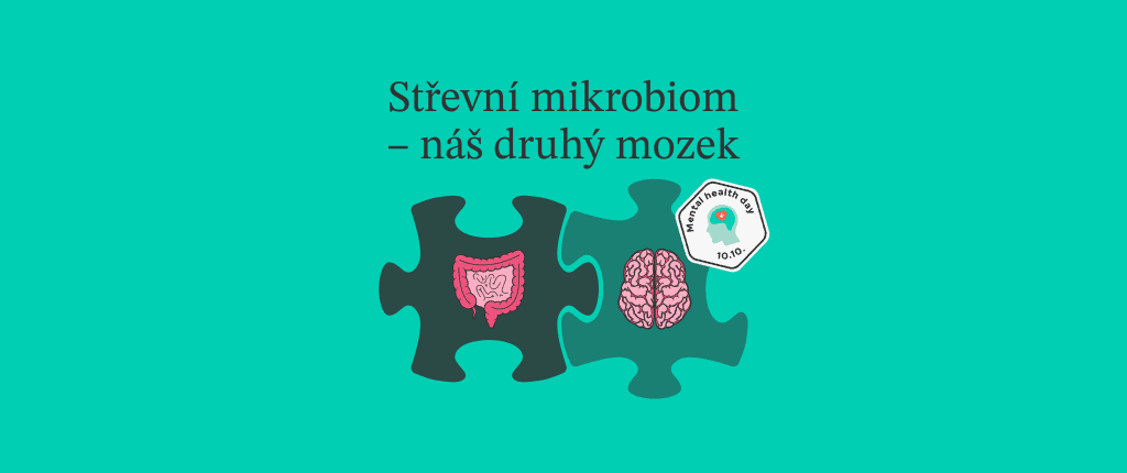 Střevní mikrobiom - náš druhý mozek