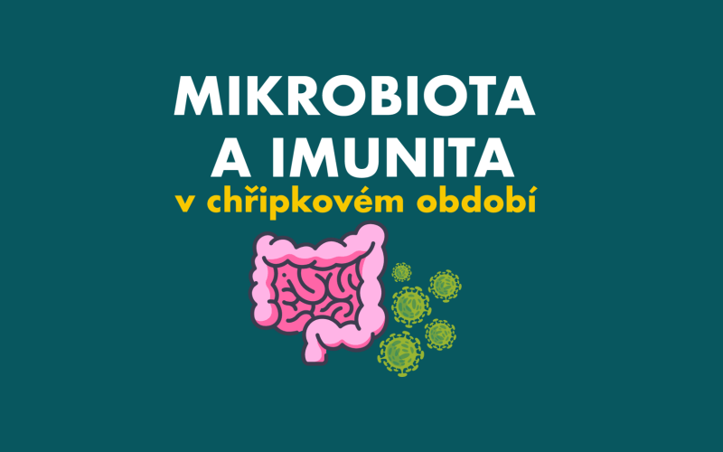 MIKROBIOTA-A-IMUNITA-BLOG_CZ