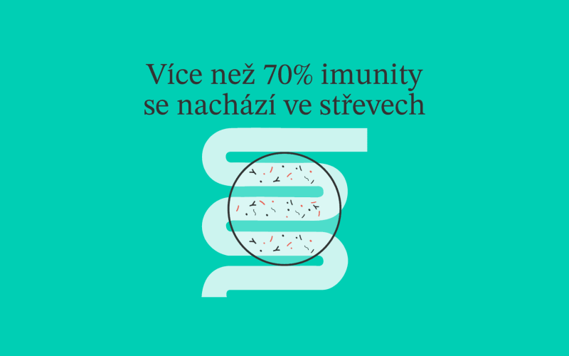 Mikrobiom a imunita