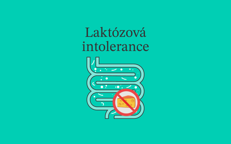 Co je to laktózová intolerance a jak se s ní vypořádat?