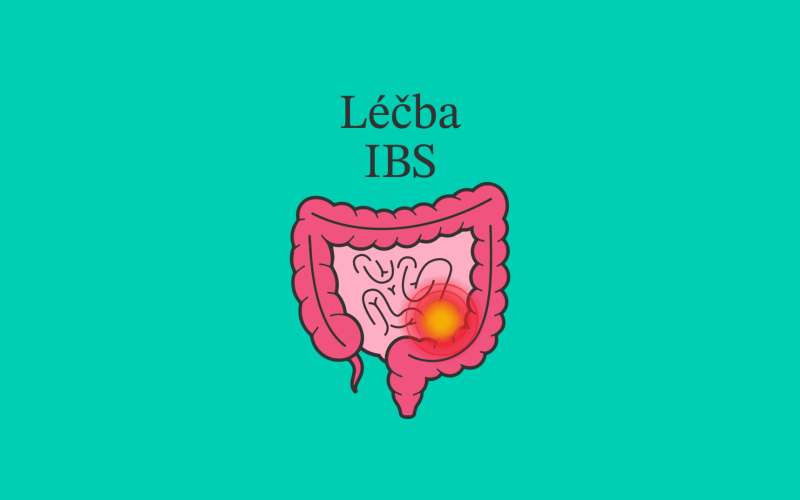 Léčba IBS