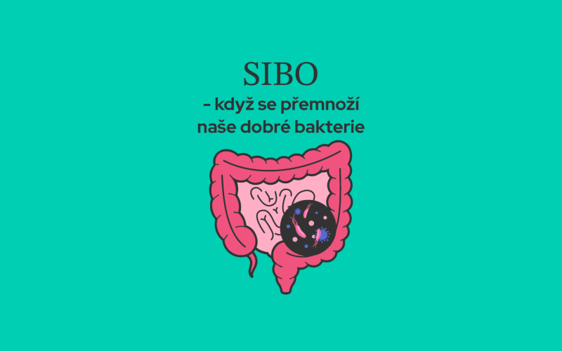 SIBO - když se přemnoží naše dobré bakterie